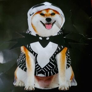 Nightmare Before Christmas dog costume
